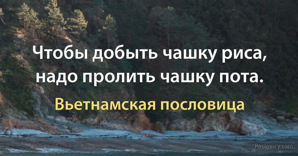 Чтобы добыть чашку риса, надо пролить чашку пота. (Вьетнамская пословица)