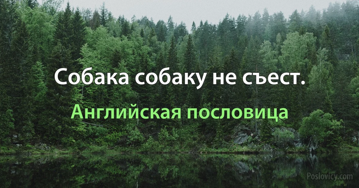 Собака собаку не съест. (Английская пословица)