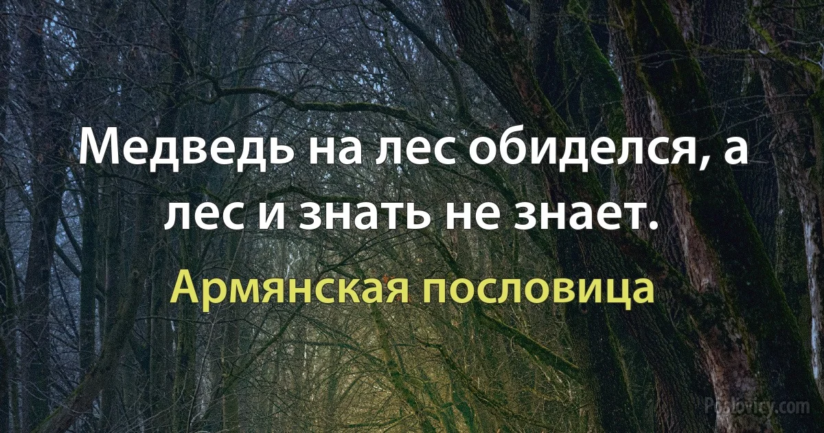 Медведь на лес обиделся, а лес и знать не знает. (Армянская пословица)