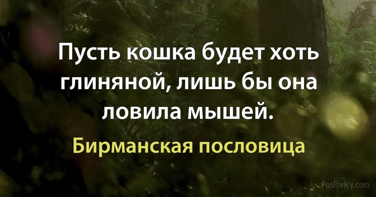 Пусть кошка будет хоть глиняной, лишь бы она ловила мышей. (Бирманская пословица)