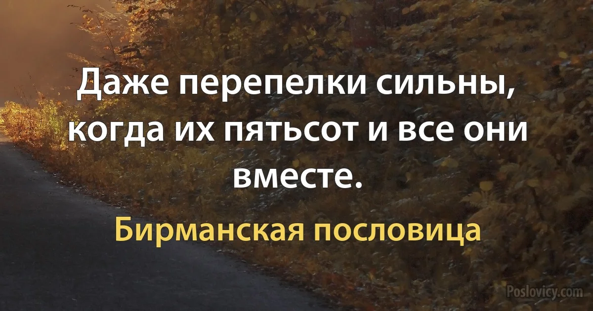 Даже перепелки сильны, когда их пятьсот и все они вместе. (Бирманская пословица)