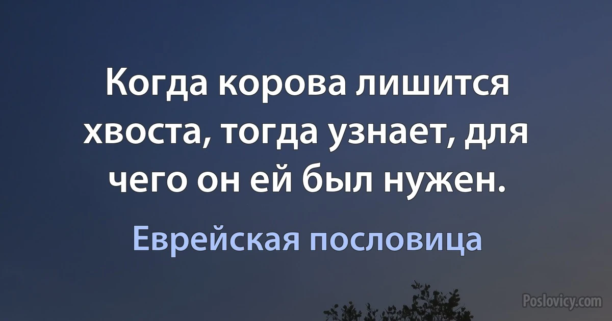 Когда корова лишится хвоста, тогда узнает, для чего он ей был нужен. (Еврейская пословица)