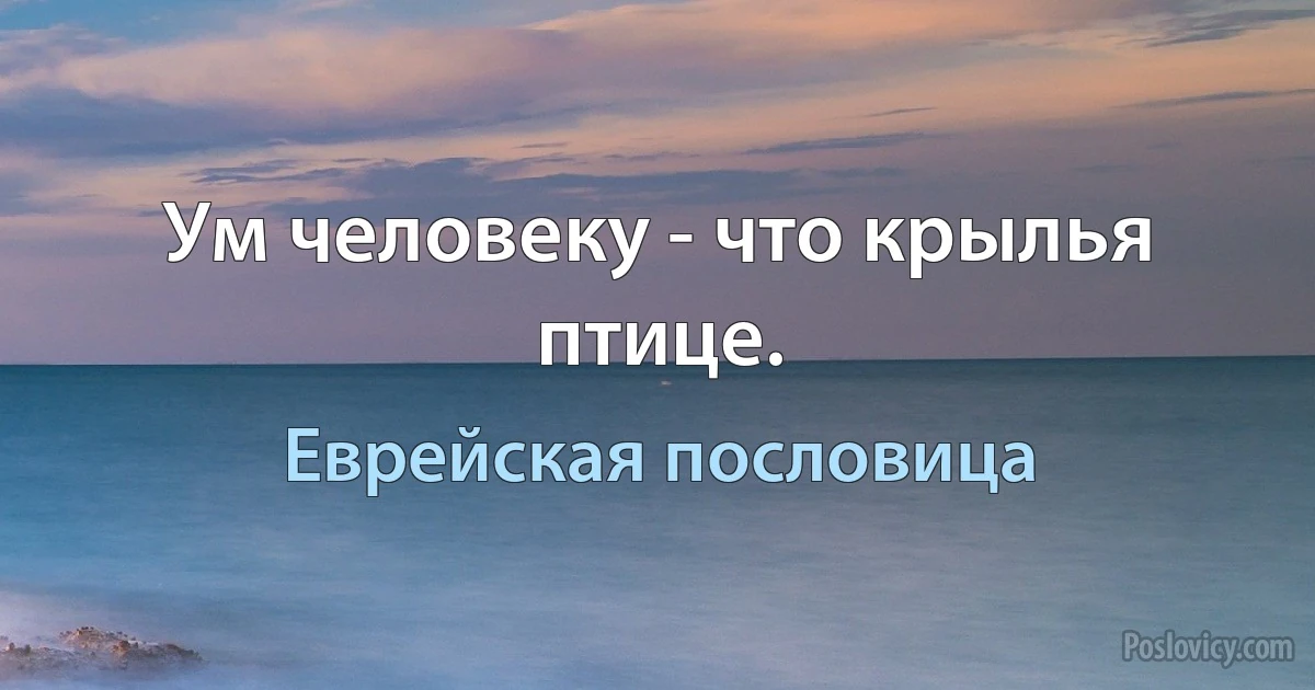 Ум человеку - что крылья птице. (Еврейская пословица)