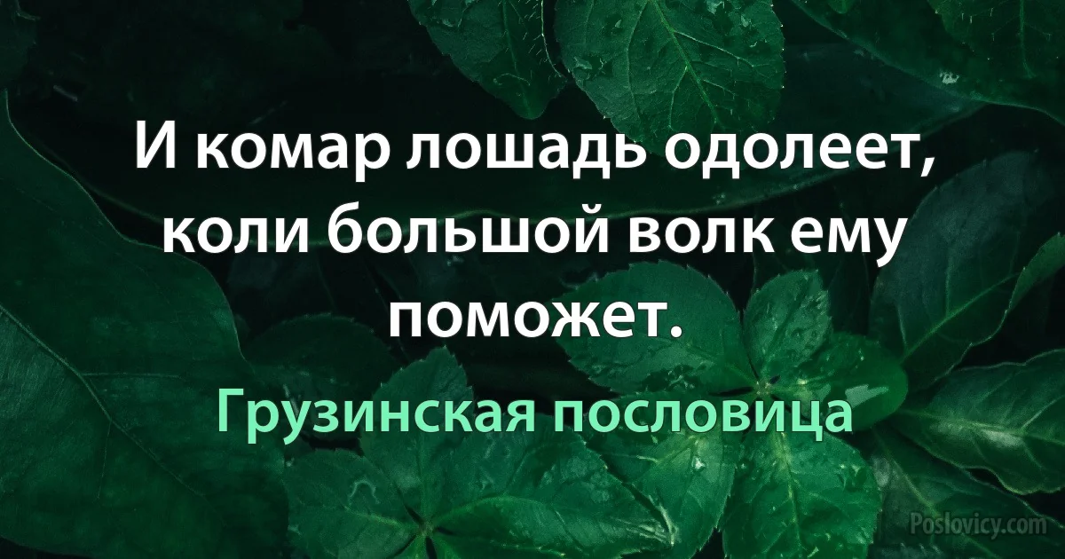 И комар лошадь одолеет, коли большой волк ему поможет. (Грузинская пословица)