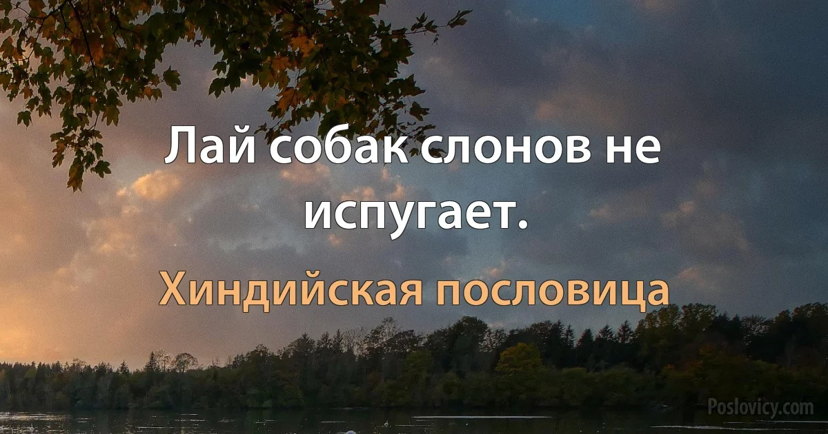 Лай собак слонов не испугает. (Хиндийская пословица)