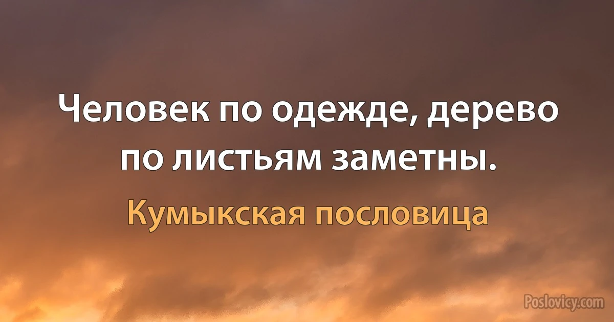 Человек по одежде, дерево по листьям заметны. (Кумыкская пословица)