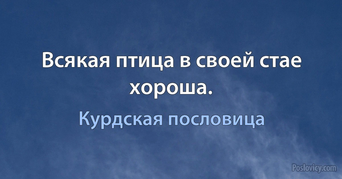 Всякая птица в своей стае хороша. (Курдская пословица)