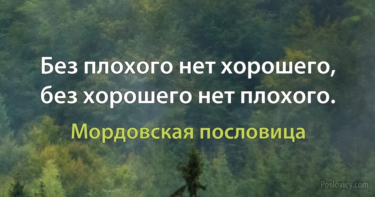 Без плохого нет хорошего, без хорошего нет плохого. (Мордовская пословица)