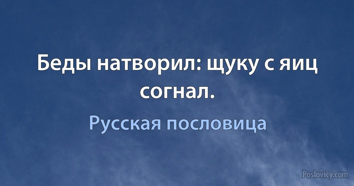 Беды натворил: щуку с яиц согнал. (Русская пословица)