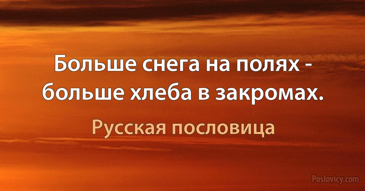 Больше снега на полях - больше хлеба в закромах. (Русская пословица)