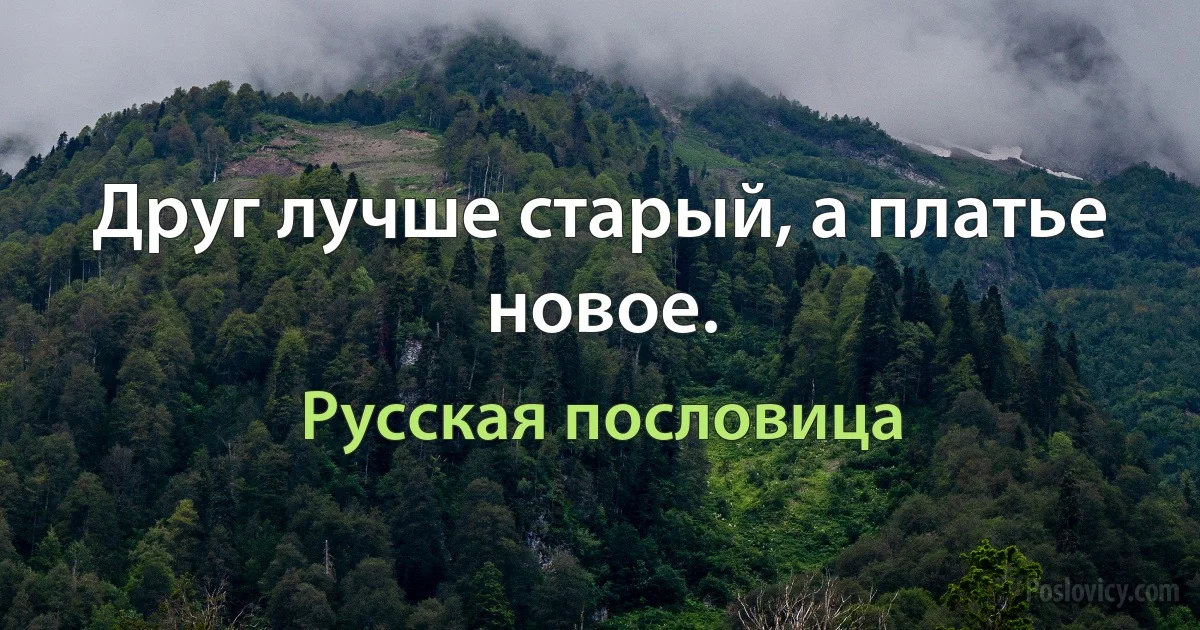 Друг лучше старый, а платье новое. (Русская пословица)