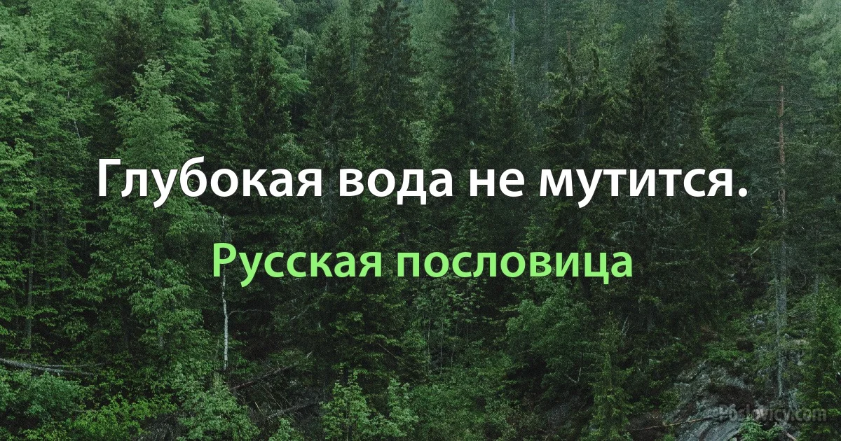 Глубокая вода не мутится. (Русская пословица)