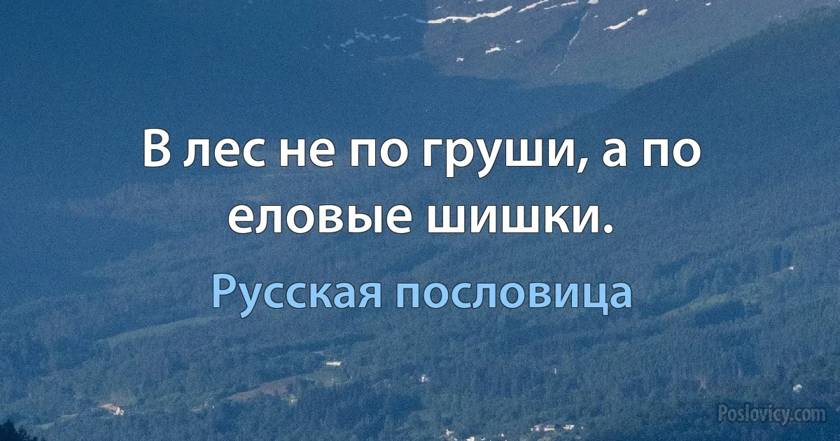 В лес не по груши, а по еловые шишки. (Русская пословица)