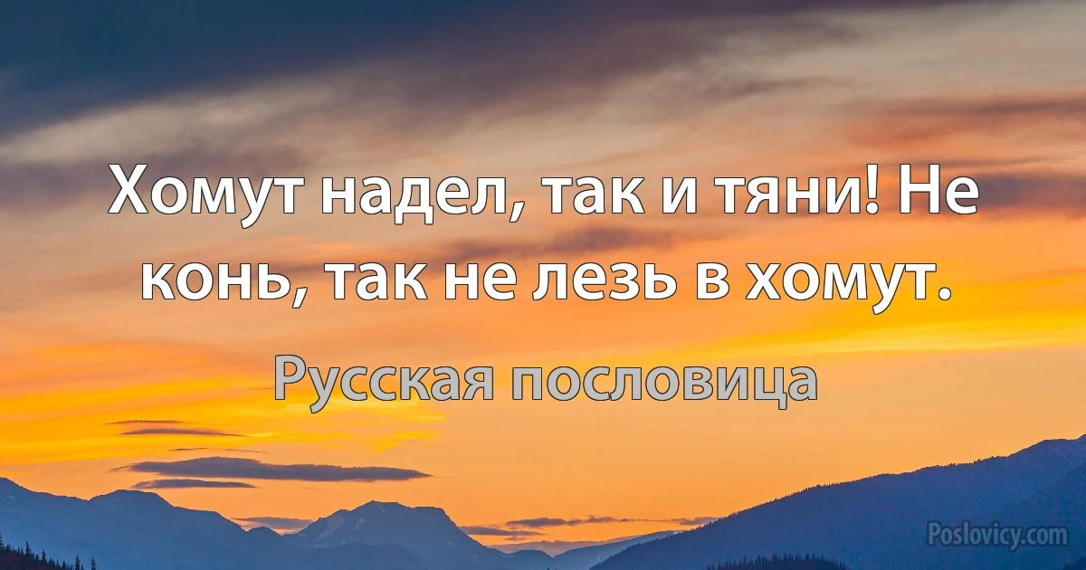 Хомут надел, так и тяни! Не конь, так не лезь в хомут. (Русская пословица)