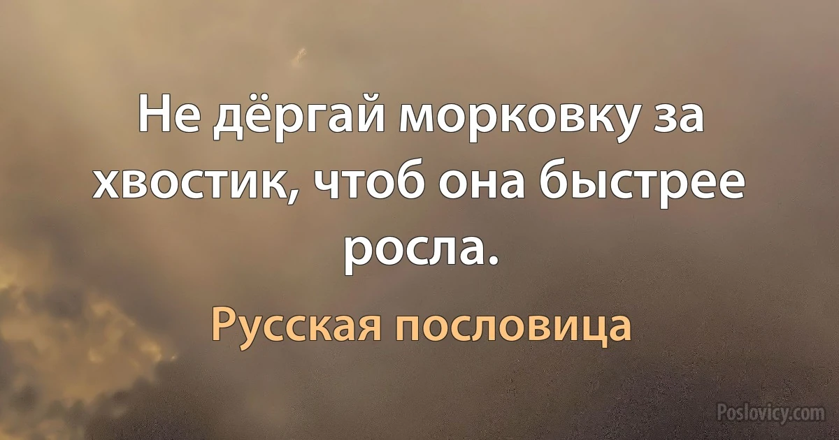 Не дёргай морковку за хвостик, чтоб она быстрее росла. (Русская пословица)