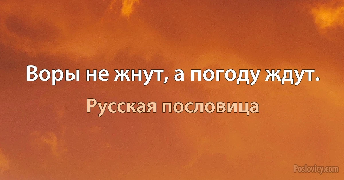 Воры не жнут, а погоду ждут. (Русская пословица)