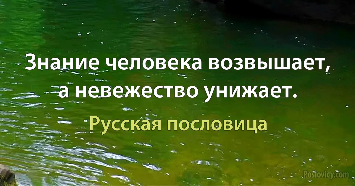 Знание человека возвышает, а невежество унижает. (Русская пословица)