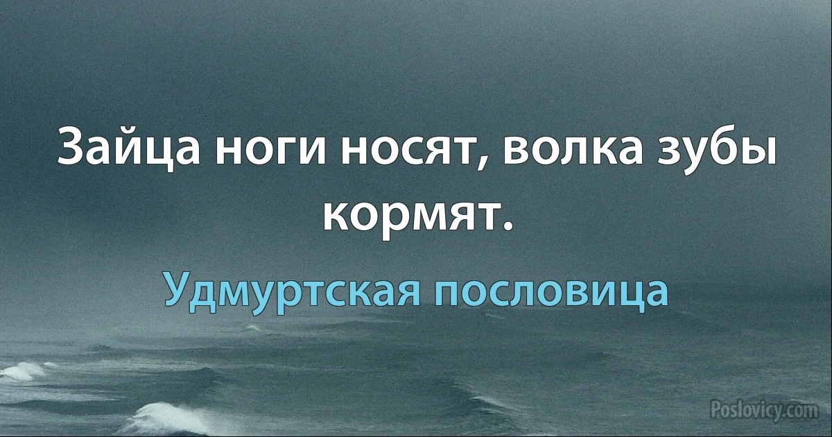 Зайца ноги носят, волка зубы кормят. (Удмуртская пословица)