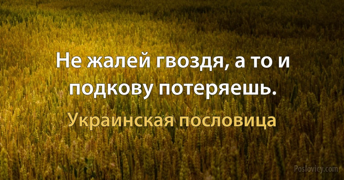 Не жалей гвоздя, а то и подкову потеряешь. (Украинская пословица)