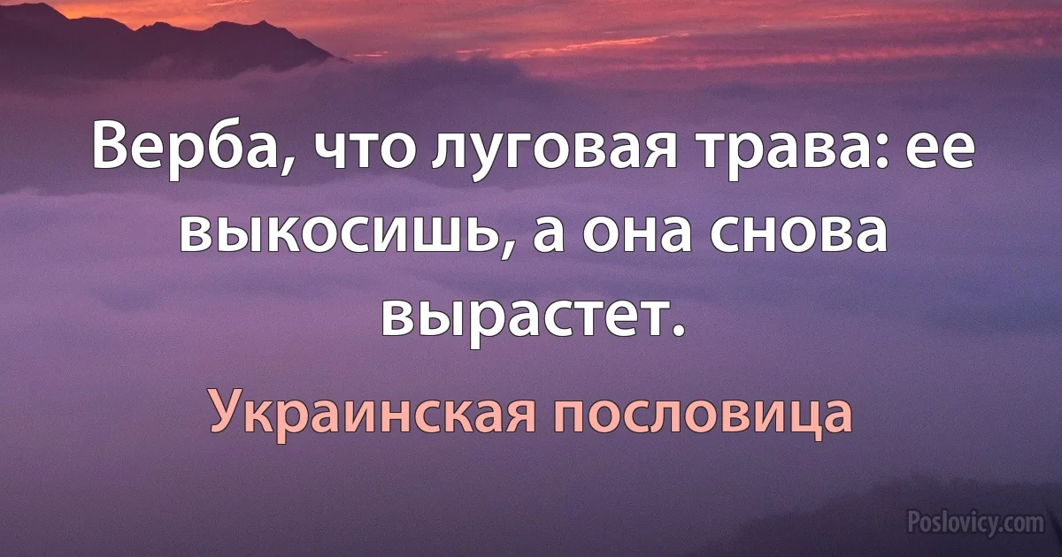 Верба, что луговая трава: ее выкосишь, а она снова вырастет. (Украинская пословица)