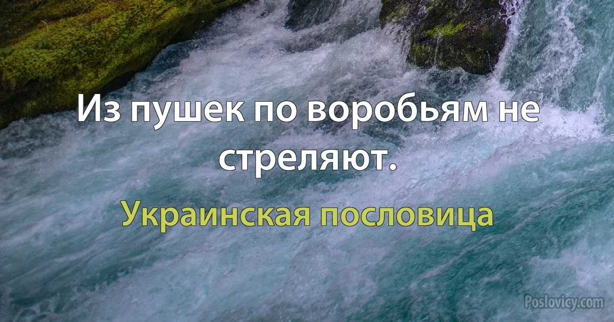 Из пушек по воробьям не стреляют. (Украинская пословица)