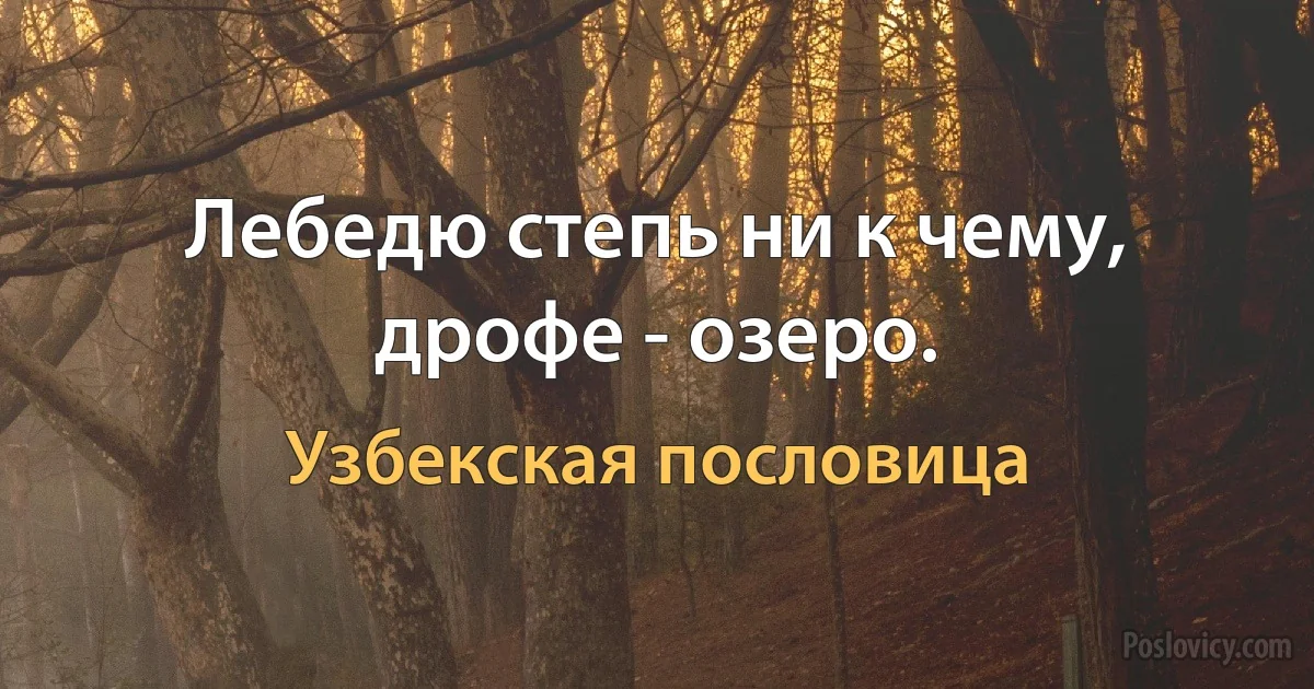 Лебедю степь ни к чему, дрофе - озеро. (Узбекская пословица)