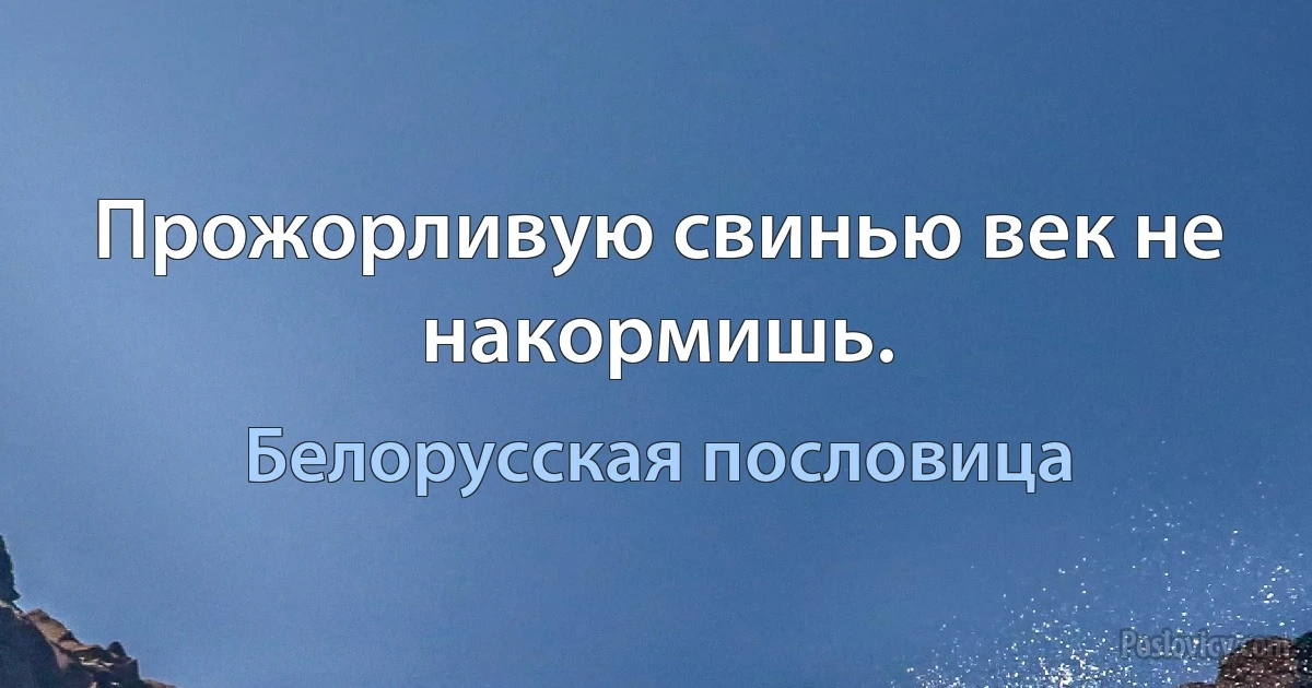 Прожорливую свинью век не накормишь. (Белорусская пословица)