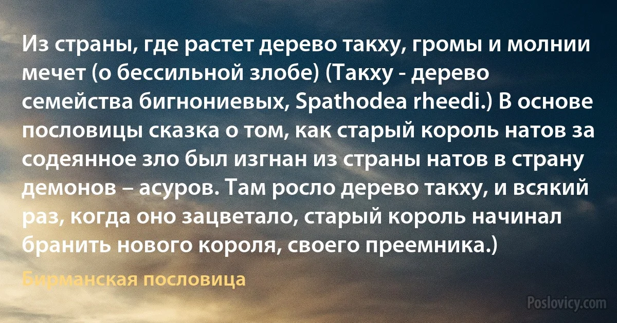 Из страны, где растет дерево такху, громы и молнии мечет (о бессильной злобе) (Такху - дерево семейства бигнониевых, Spathodea rheedi.) В основе пословицы сказка о том, как старый король натов за содеянное зло был изгнан из страны натов в страну демонов – асуров. Там росло дерево такху, и всякий раз, когда оно зацветало, старый король начинал бранить нового короля, своего преемника.) (Бирманская пословица)