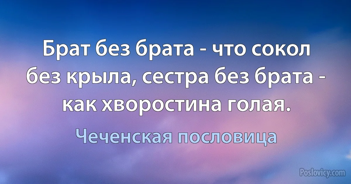 Брат без брата - что сокол без крыла, сестра без брата - как хворостина голая. (Чеченская пословица)