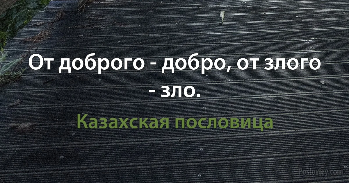 От доброго - добро, от злого - зло. (Казахская пословица)