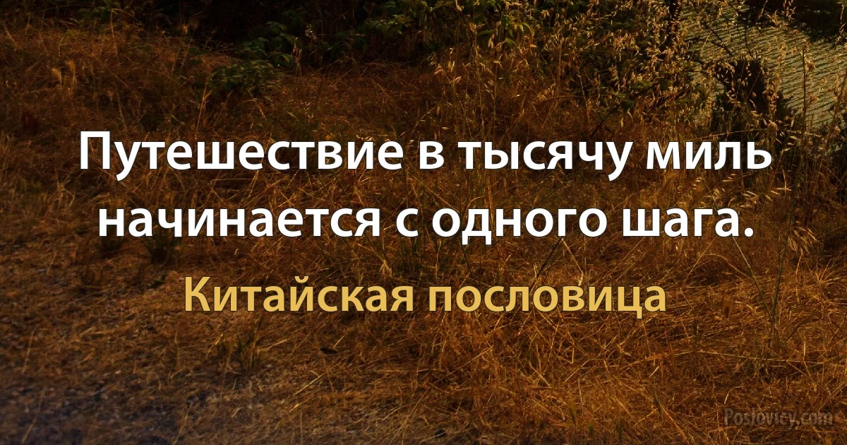 Путешествие в тысячу миль начинается с одного шага. (Китайская пословица)