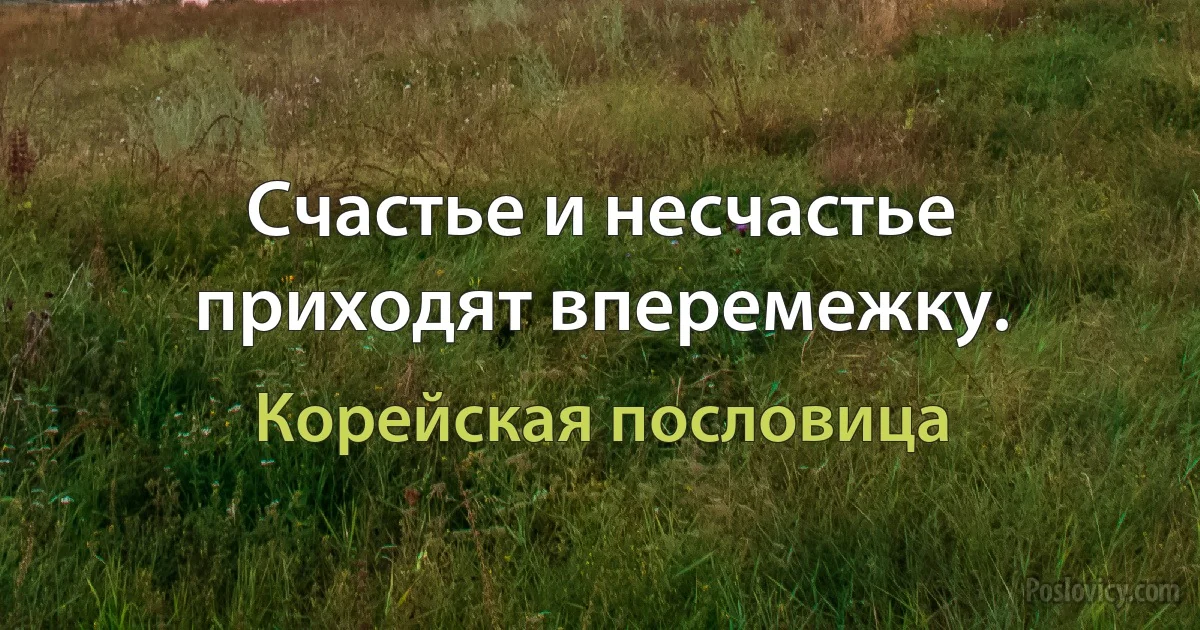 Счастье и несчастье приходят вперемежку. (Корейская пословица)