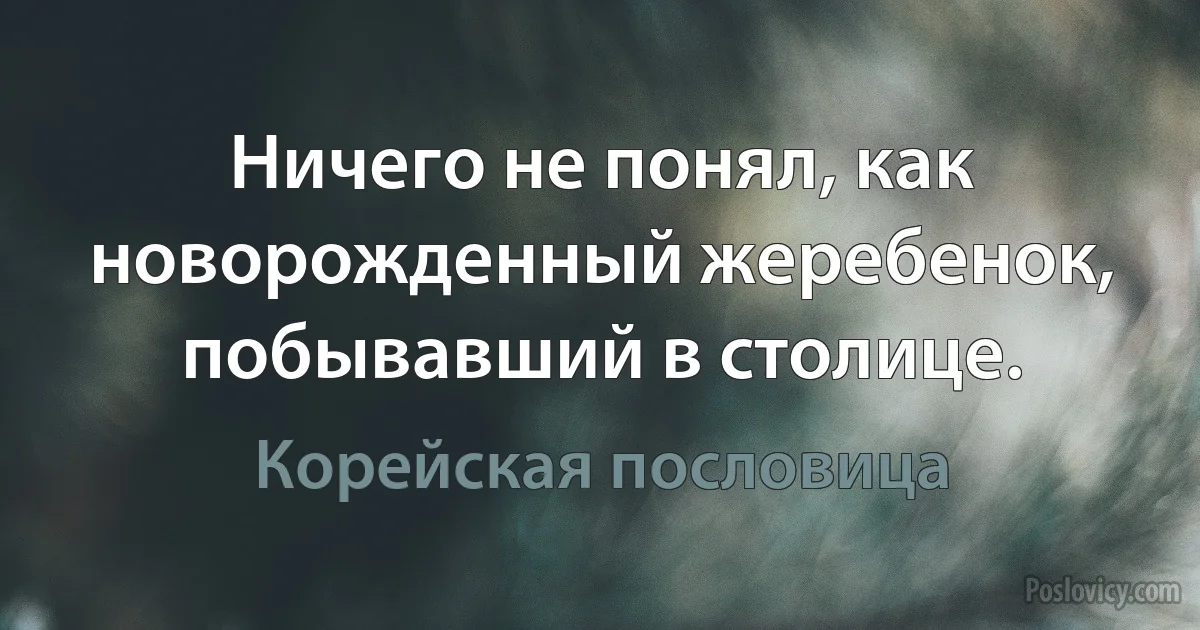 Ничего не понял, как новорожденный жеребенок, побывавший в столице. (Корейская пословица)