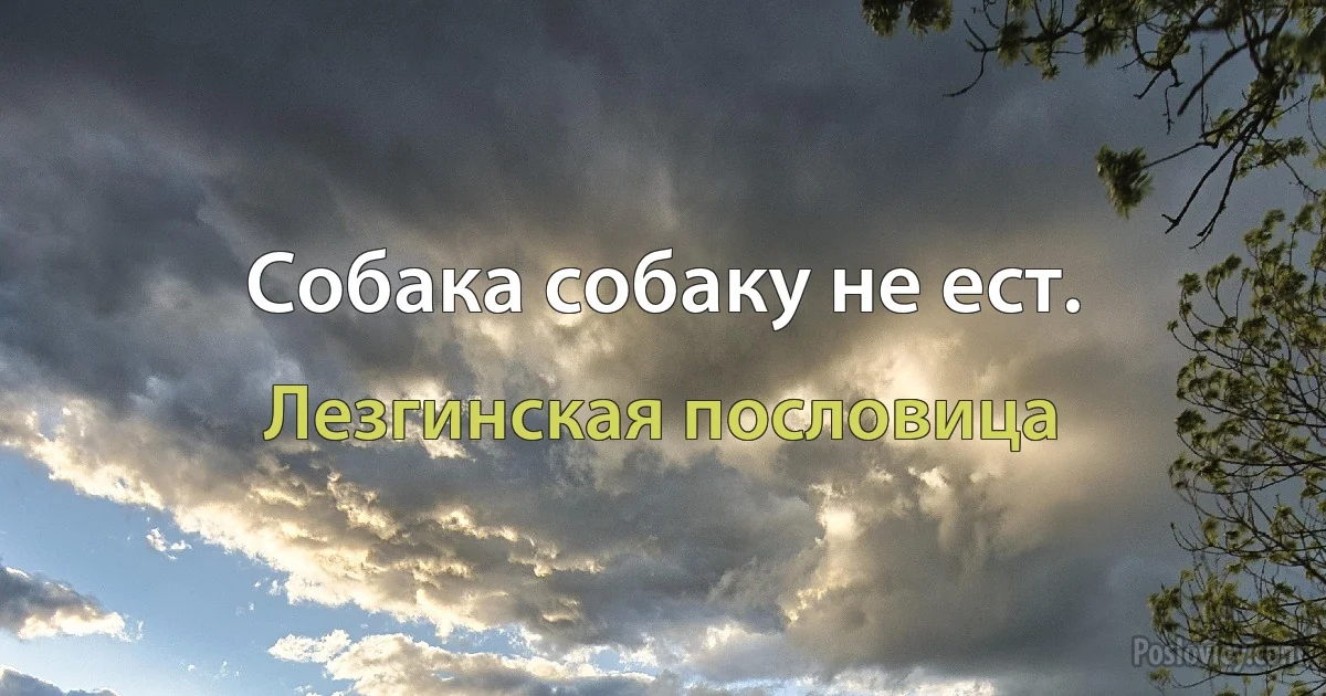 Собака собаку не ест. (Лезгинская пословица)