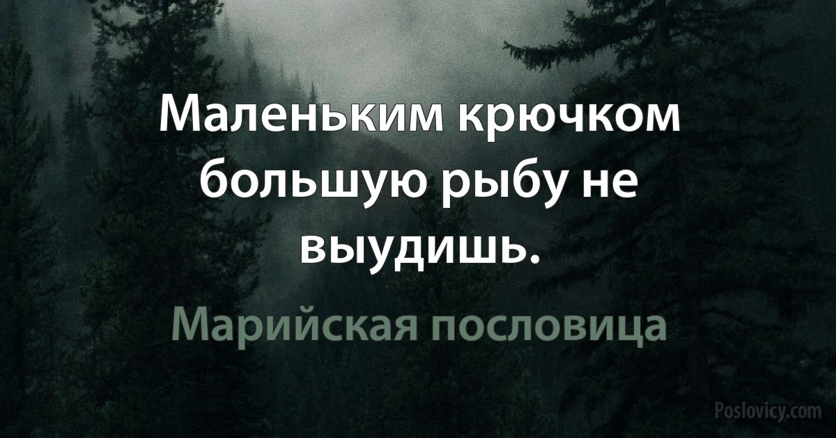 Маленьким крючком большую рыбу не выудишь. (Марийская пословица)