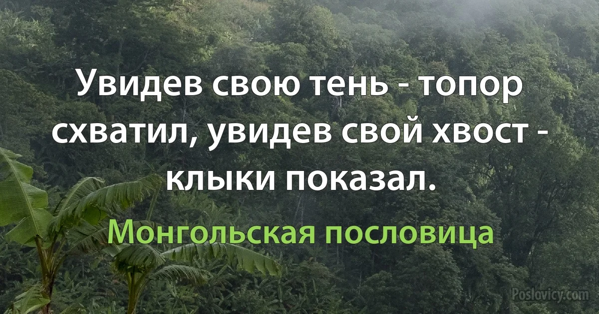 Увидев свою тень - топор схватил, увидев свой хвост - клыки показал. (Монгольская пословица)