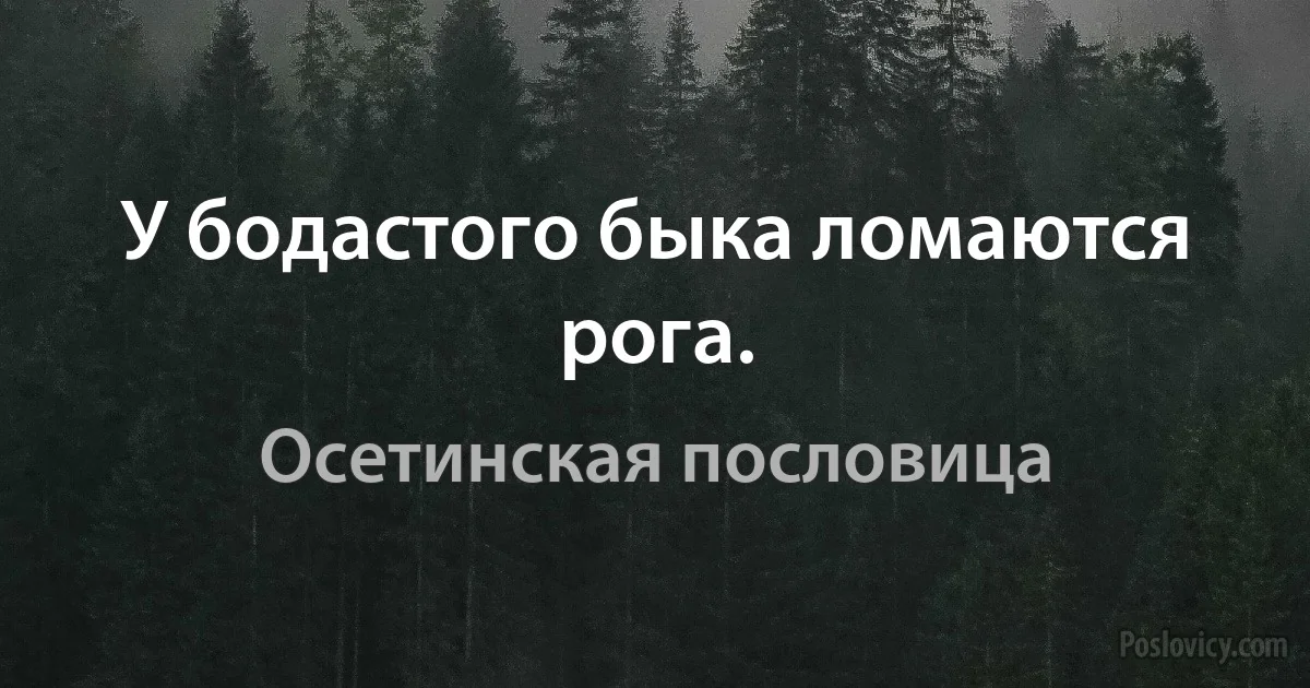 У бодастого быка ломаются рога. (Осетинская пословица)