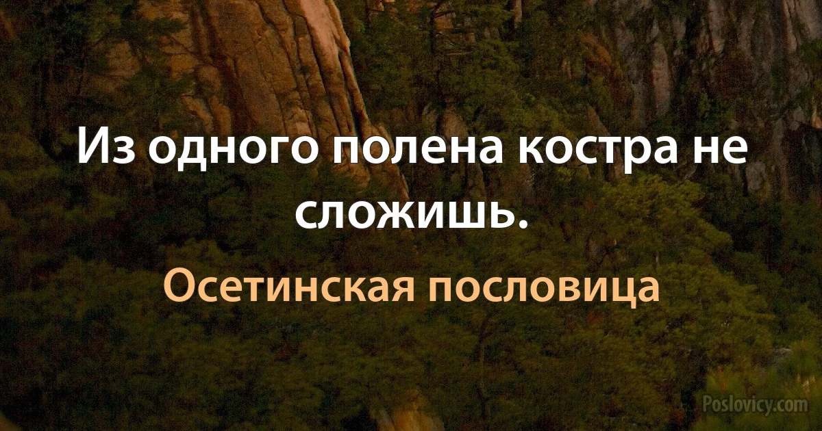 Из одного полена костра не сложишь. (Осетинская пословица)