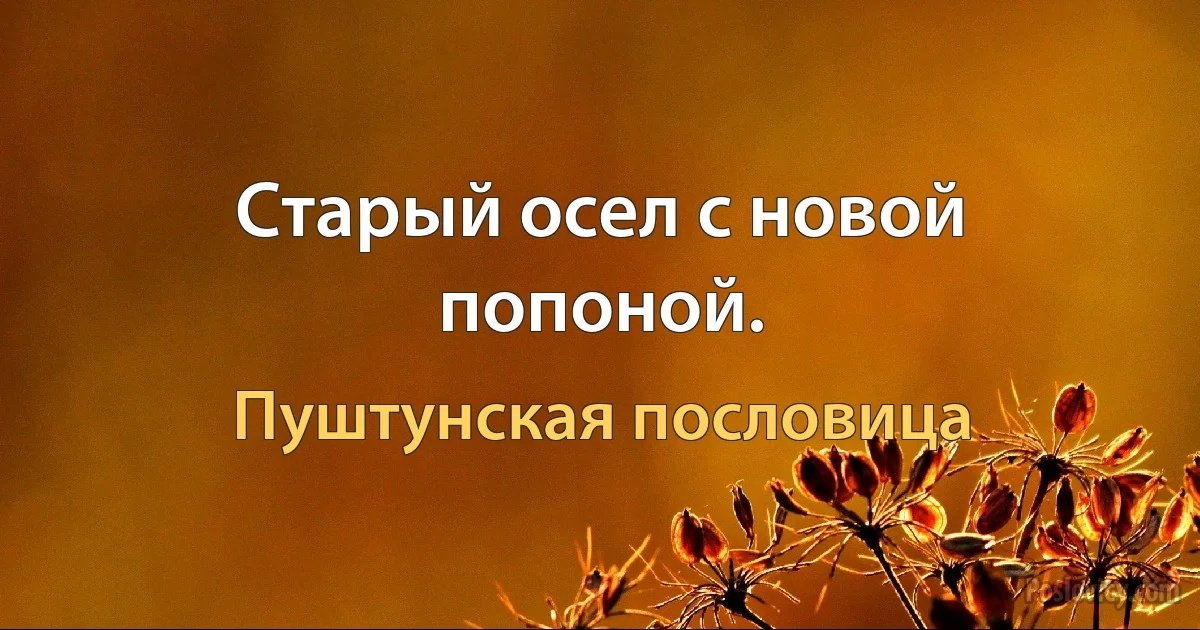 Старый осел с новой попоной. (Пуштунская пословица)