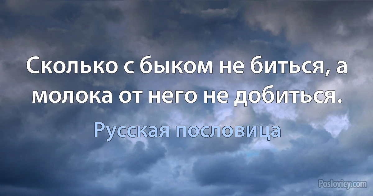 Сколько с быком не биться, а молока от него не добиться. (Русская пословица)