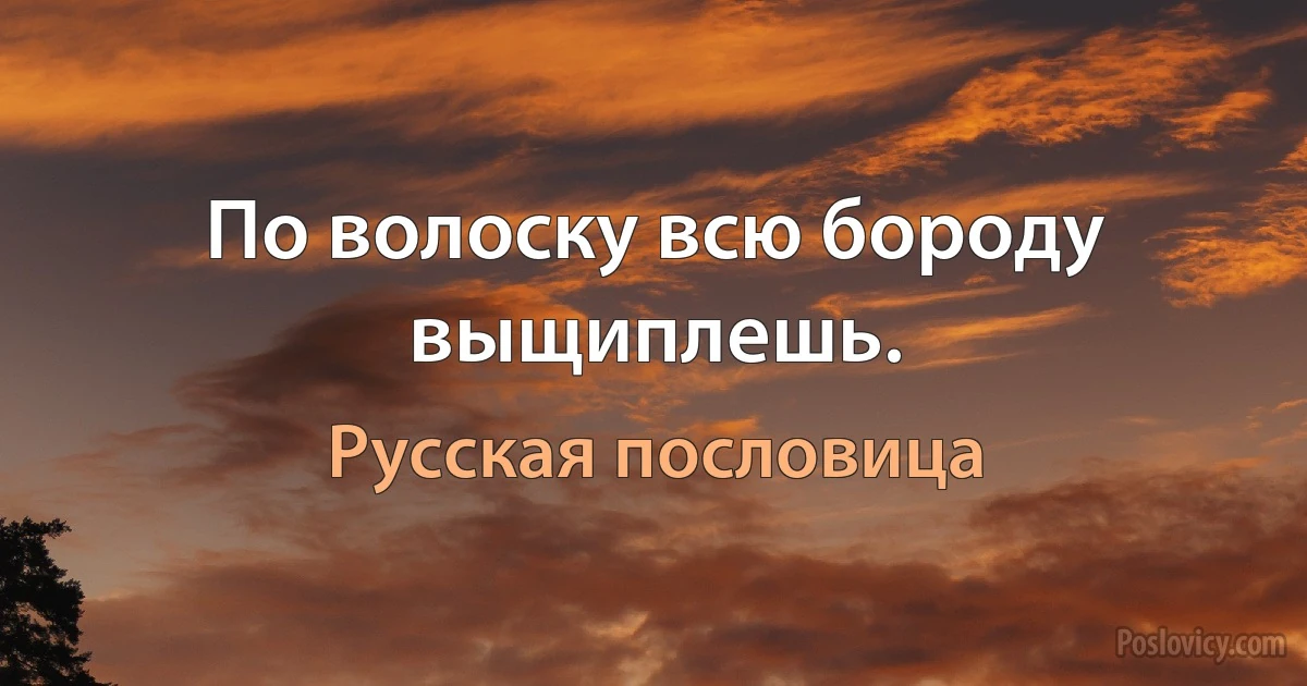 По волоску всю бороду выщиплешь. (Русская пословица)