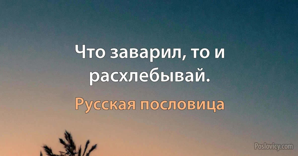 Что заварил, то и расхлебывай. (Русская пословица)