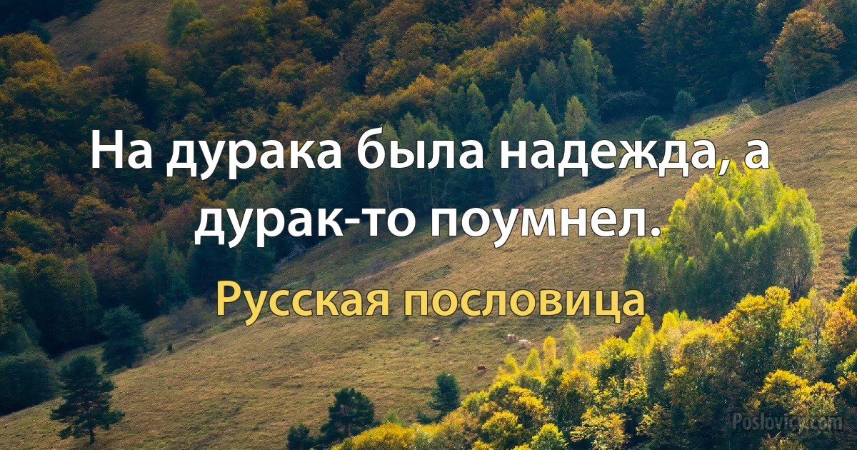 На дурака была надежда, а дурак-то поумнел. (Русская пословица)