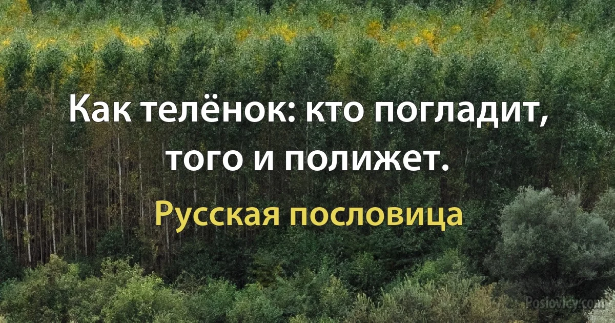 Как телёнок: кто погладит, того и полижет. (Русская пословица)