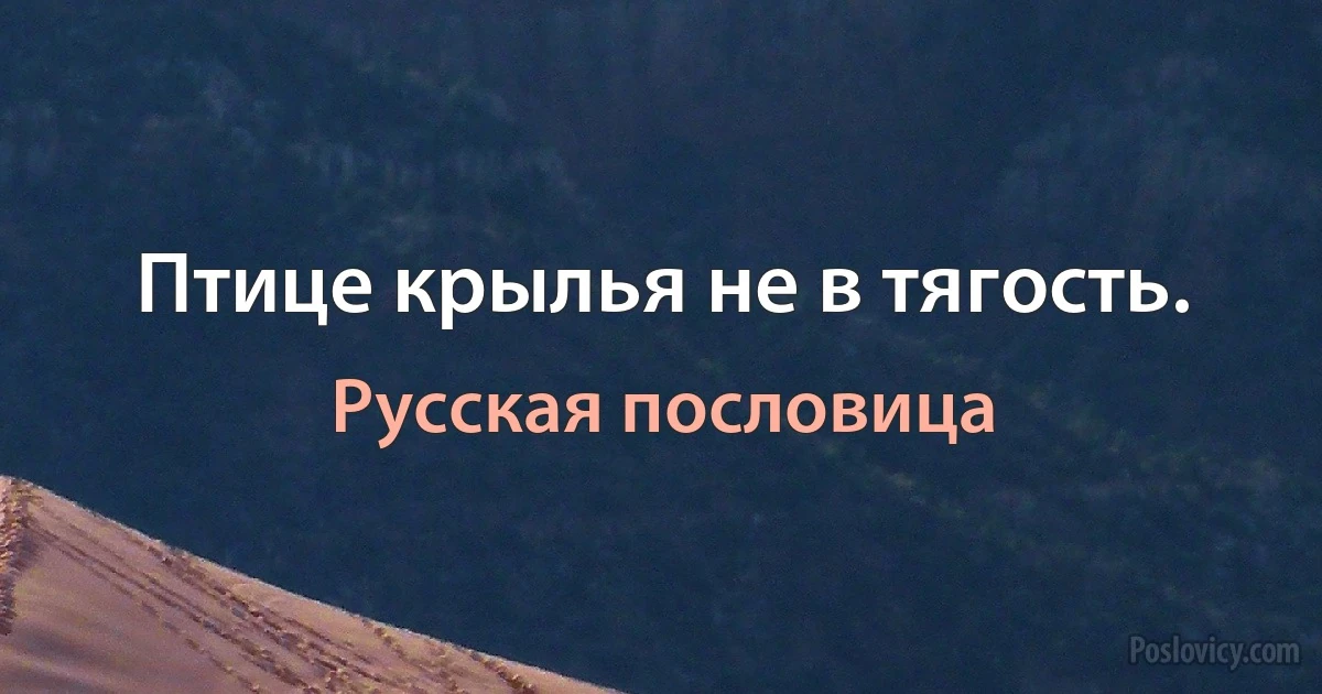 Птице крылья не в тягость. (Русская пословица)