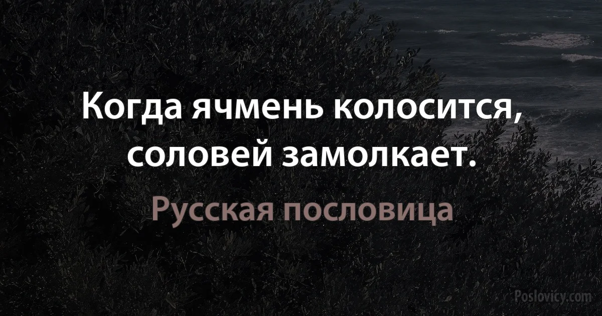 Когда ячмень колосится, соловей замолкает. (Русская пословица)