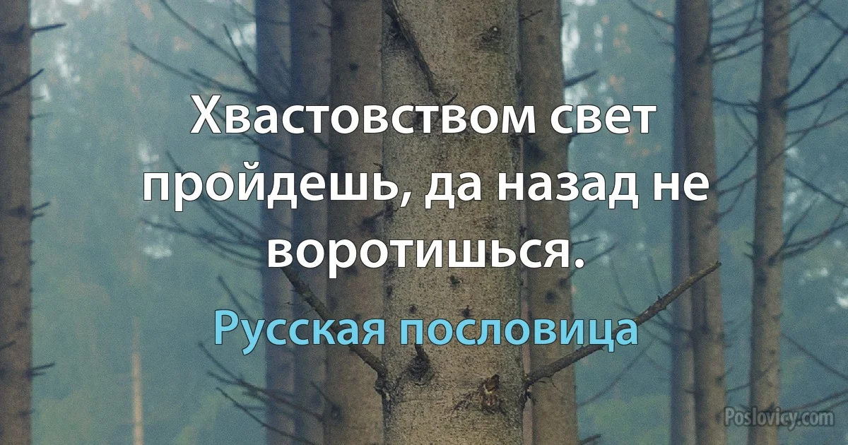 Хвастовством свет пройдешь, да назад не воротишься. (Русская пословица)