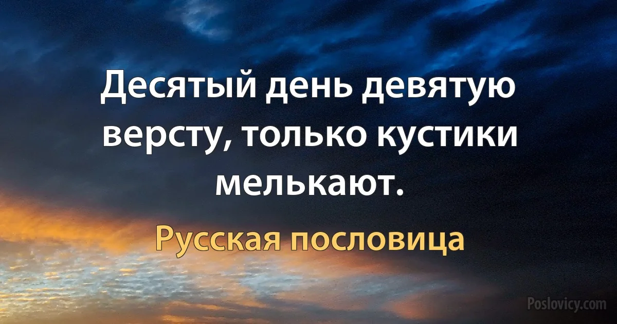 Десятый день девятую версту, только кустики мелькают. (Русская пословица)