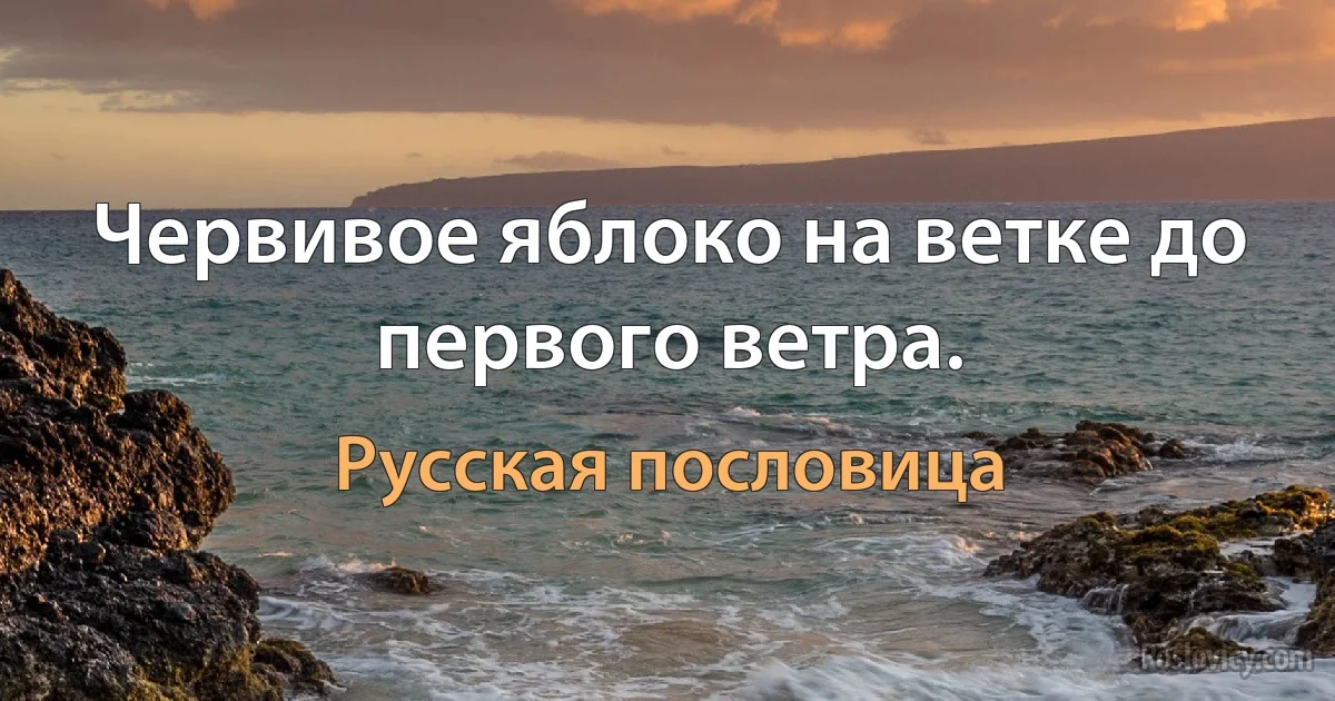 Червивое яблоко на ветке до первого ветра. (Русская пословица)