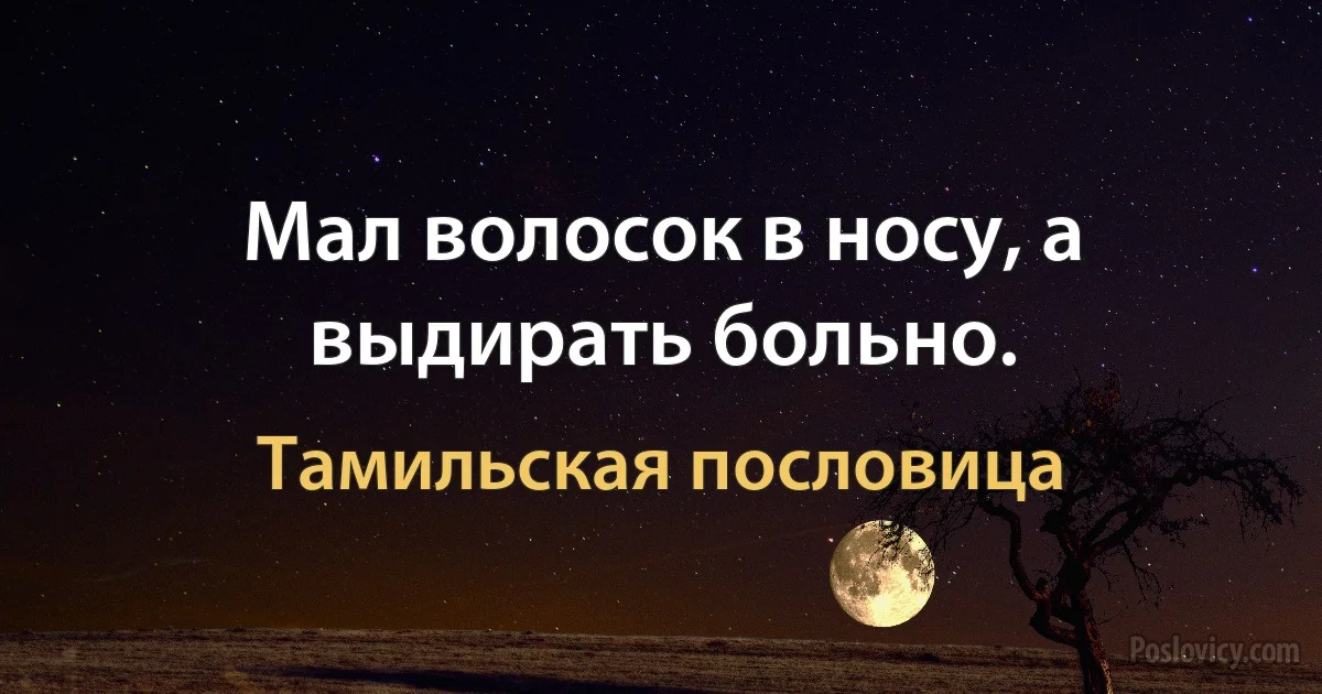 Мал волосок в носу, а выдирать больно. (Тамильская пословица)